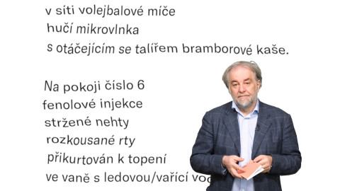 Jedna báseň - Miloš Doležal