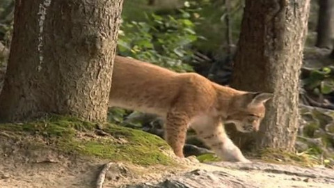 Madla a Ťap - 7/13 Jak byli u jezera