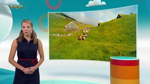 Zprávičky - 16. září 2017