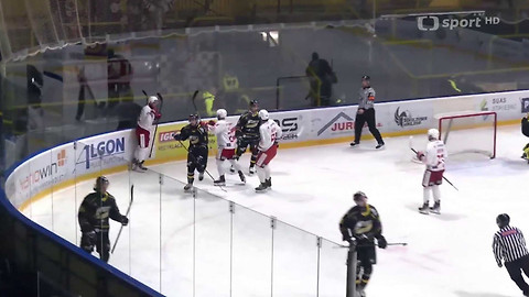 1. česká hokejová liga mužů - Maxa liga - souhrn