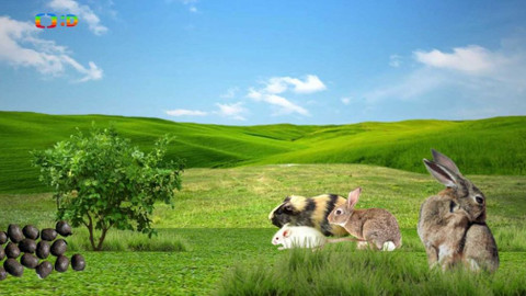 Ty Brďo! - Hovínko