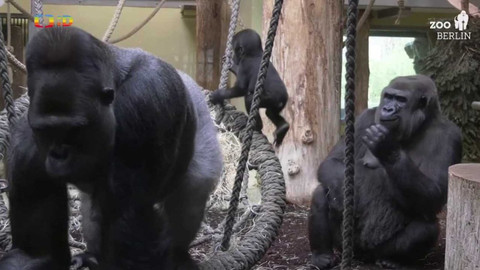 Zprávičky - 16. února 2022