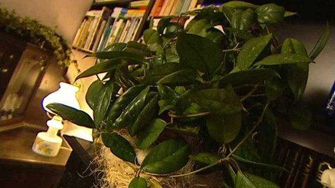 Bydlení je hra - 1. prosince 2005