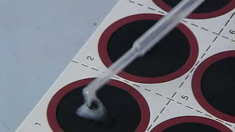 Archiv dne - 28. listopad 1996: Jeden svět, jedna naděje