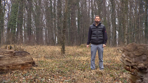 Nedej se! - Zachraň strom, probudíš město