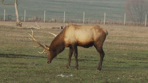 Novinky z přírody - Epizoda 35/53