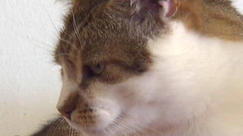 Chcete mě? - Chcete je?