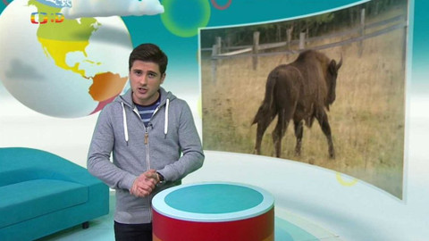 Zprávičky - 15. listopadu 2017