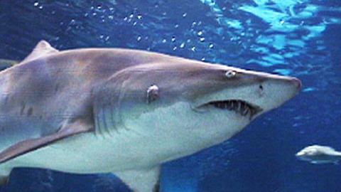 PORT - 9. prosince 2009