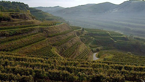 Putování za vínem - 14/16 Bádensko, Württembersko