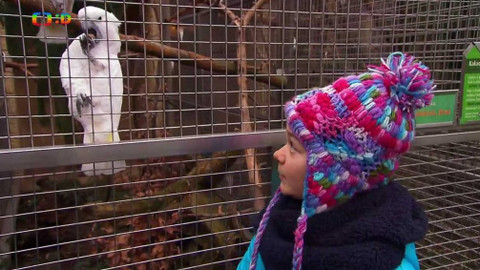 Terčin zvířecí svět - 16. března 2018