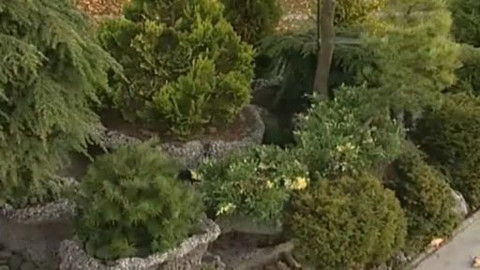 Zahrada je hra - 5. února 2006