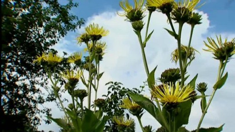 Přidej se - Vzpomínka na Pavla Váňu