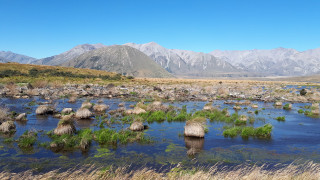 Na cestě po novozélandském Canterbury
