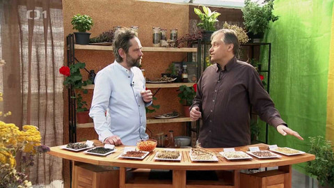 Polopatě - 20. března 2022