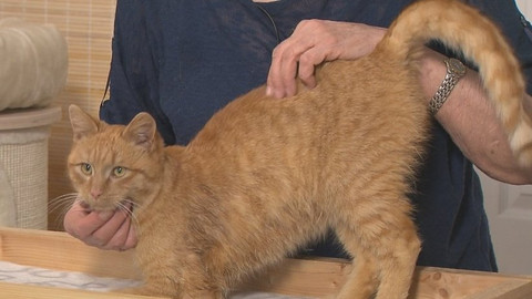 Chcete mě? - Chcete je?