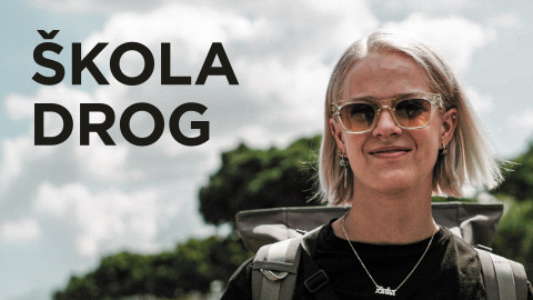 Škola drog