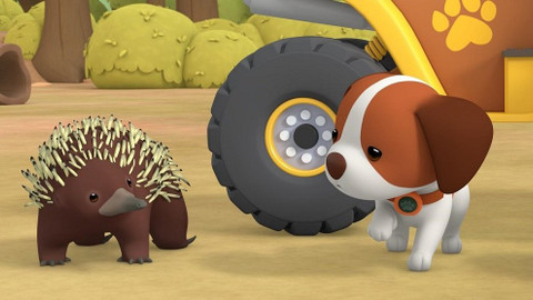 Leo, strážce přírody - Ježura australská