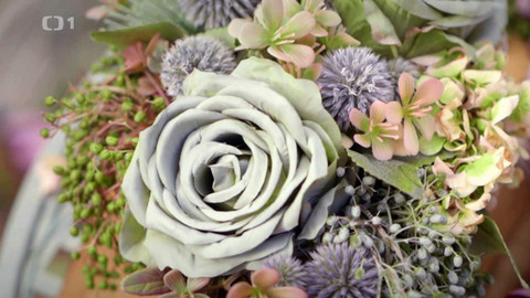 Všechno, co mám ráda - Epizoda 170/47