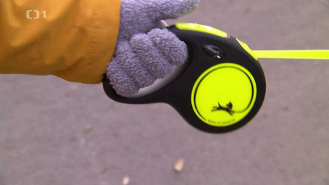 Černé ovce - 15. února 2022