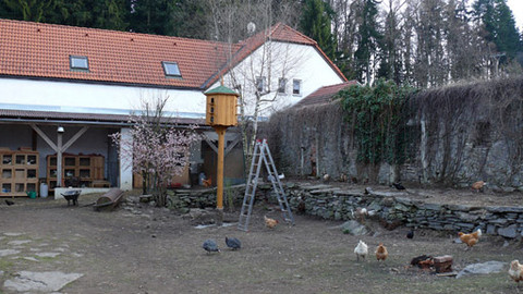 Malá farma - Postaru