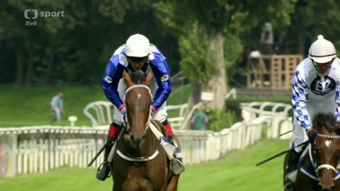 Dostihy - IV. kvalifikace na 127. Velkou pardubickou s Českou pojišťovnou