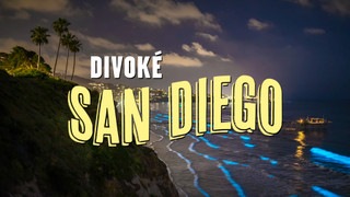 Divoké San Diego