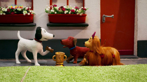 Rusty - 29/52 Nejlepší jezevčík