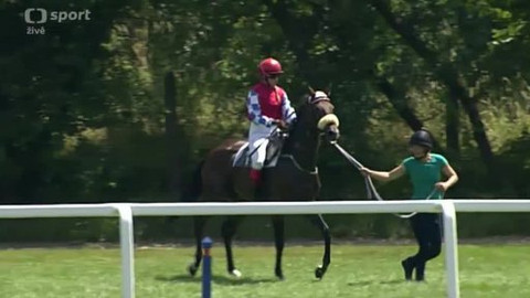 Jezdectví - Festivalový dostihový pohár Josefa Váni 2014 Karlovy Vary