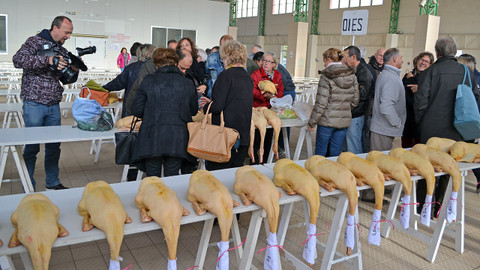 Postřehy odjinud - Západ Francie očima Jana Šmída