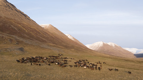 Evropa z výšky - Island