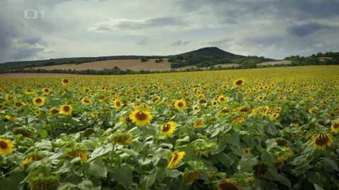 Kapka vody - Chemie na polích - chemie ve vodě