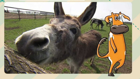 Telefon - 27. května 2016