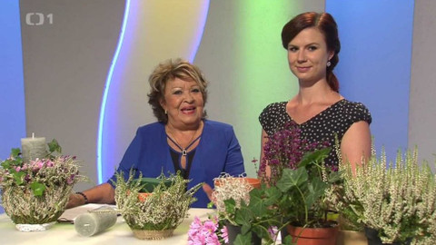 Hobby naší doby - 2. září 2017