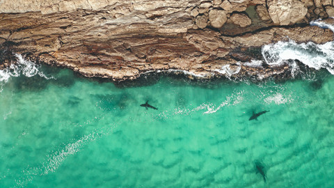 Planeta Země - 1/8 Pobřeží