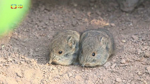 Zprávičky - 22. února 2023