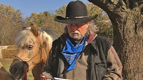 Chcete mě? - 5. listopadu 2008