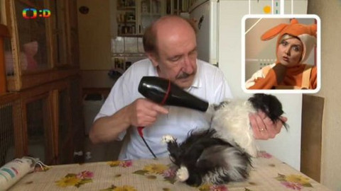 Telefon - 26. dubna 2015