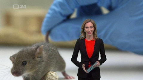 Horizont ČT24 - 8. prosince 2019