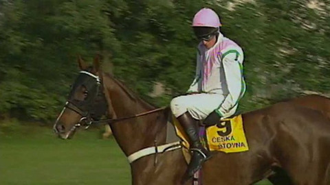 Velká pardubická - 1996