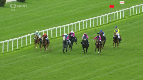 Dostihy - 92. Gomba handicap