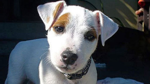 Máte mě! - 22. května 2011