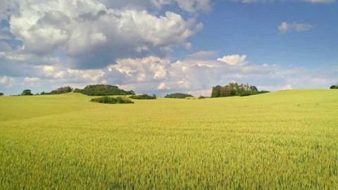 Kapka vody - Důležitost hmyzu v krajině