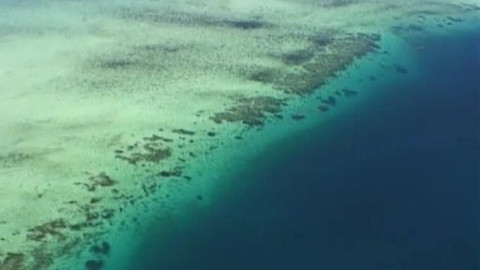 Zeměpis světa - Tropy