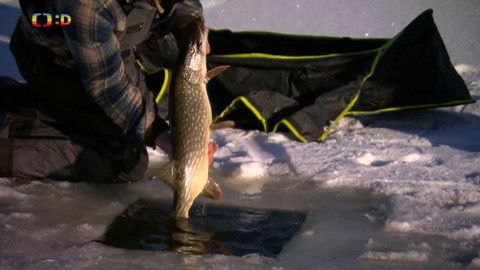 Zprávičky - 18. února 2021