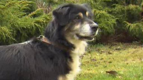 Chcete mě? - Chcete je?