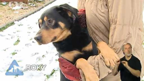 Chcete mě? - Chcete je?