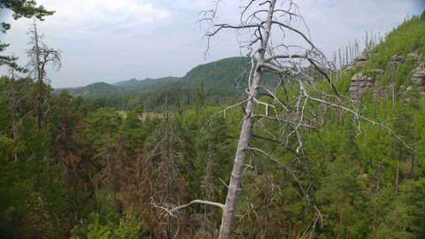 Nedej se! - Poslední národní park?