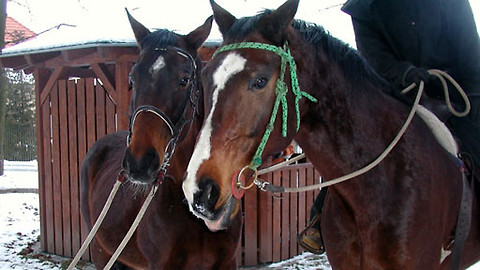 Máte mě! - 27. února 2011