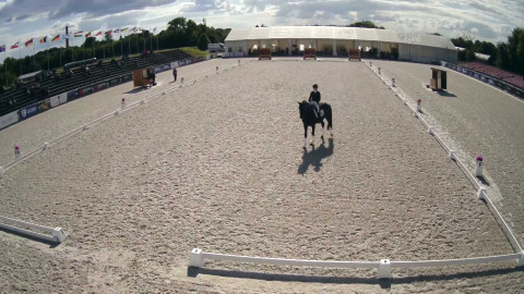 Jezdectví - CDI-W Olomouc